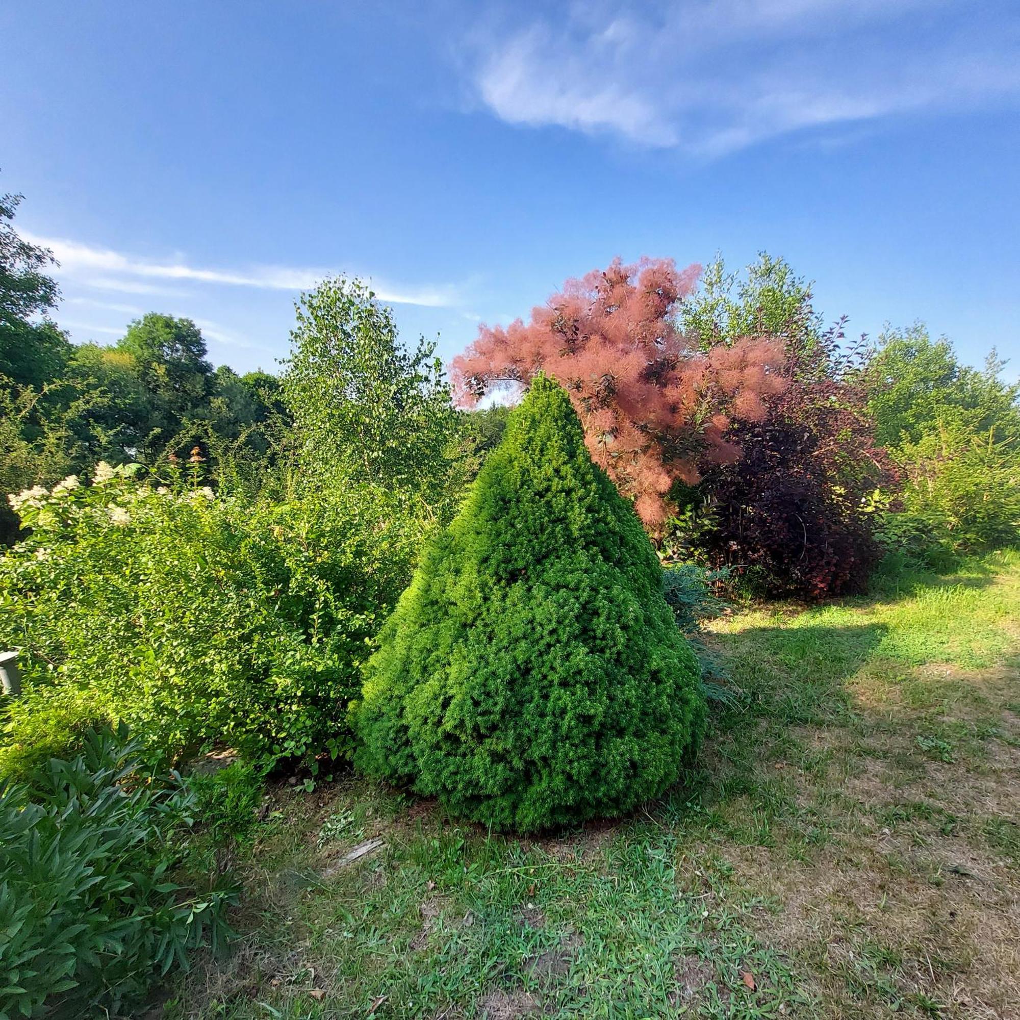 Dusznica 35 Holiday home *